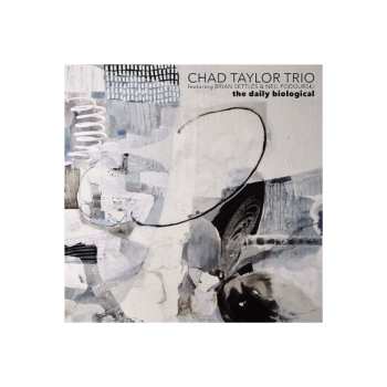 CD Chad Taylor Trio: The Daily Biological