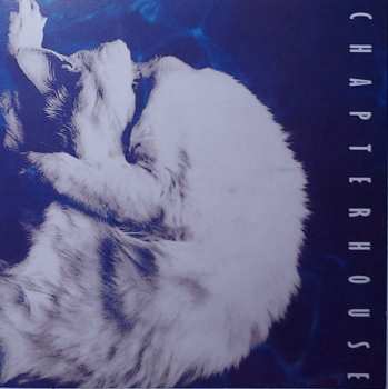 6CD/Doos Chapterhouse: Chronology  DLX