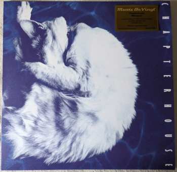 LP Chapterhouse: Whirlpool CLR | LTD | NUM