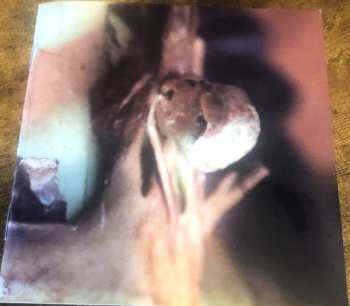 2CD/Doos Ches Smith: Path Of Seven Colors