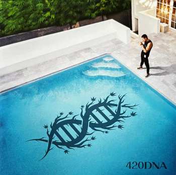 CD ChillinIT: 420DNA