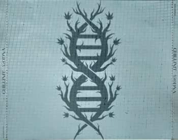 CD ChillinIT: 420DNA