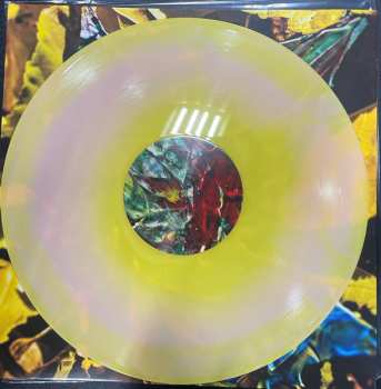 LP Chon: Grow CLR