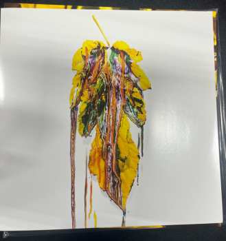 LP Chon: Grow CLR