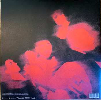 2LP Choses Sauvages: Choses Sauvages II