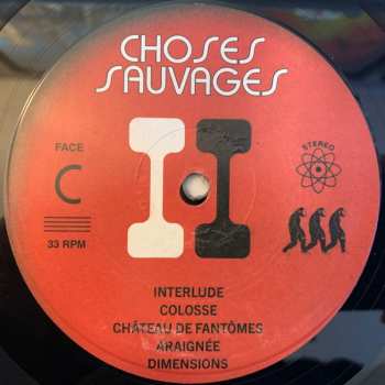 2LP Choses Sauvages: Choses Sauvages II