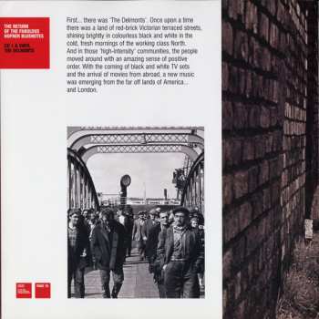 2LP/3CD/Doos Chris Rea: The Return Of The Fabulous Hofner Bluenotes DLX