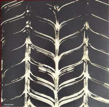 LP Chris Squire: Fish Out Of Water