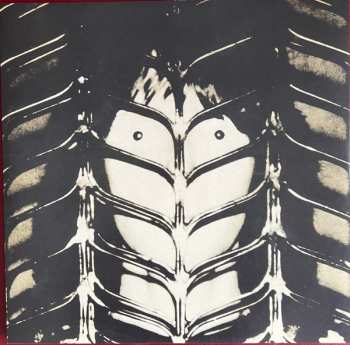 LP Chris Squire: Fish Out Of Water