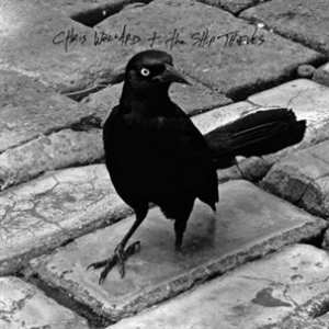 Album Chris & The Ship Wollard: 7-how Much Shit Can You Take?