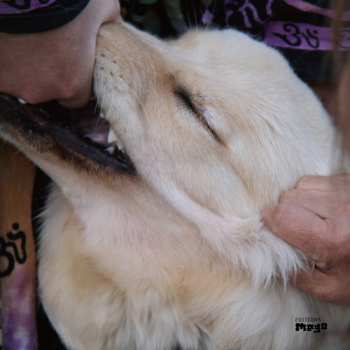 CD Fennesz: It's Hard For Me To Say I’m Sorry