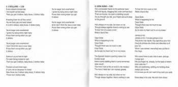 2CD Christine And The Queens: Chris