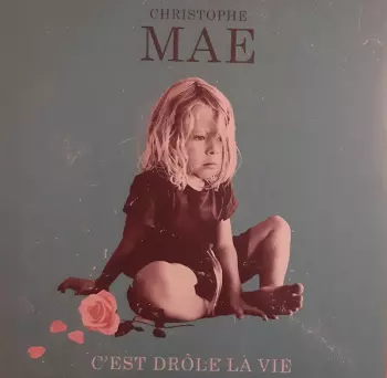 C'est Drôle La Vie