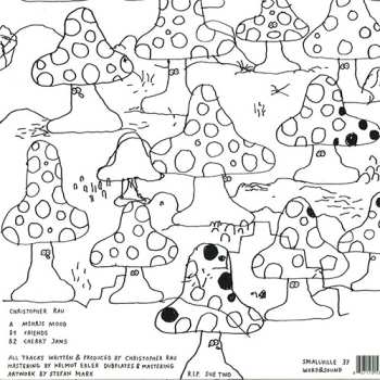 LP Christopher Rau: Mehris Mood