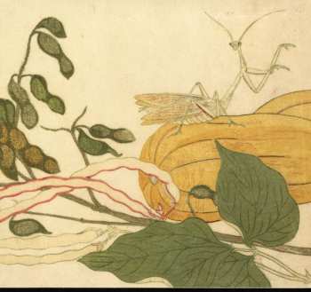 CD Chypho: Entomongaku