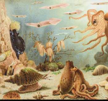 CD Chypho: Episodes in Oceanography