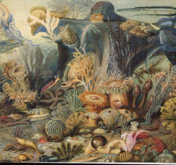 CD Chypho: Episodes in Oceanography, Vol. 2