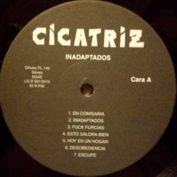 LP Cicatriz: Inadaptados