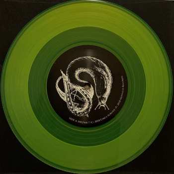 LP/SP Circa Survive: The Amulet DLX | LTD | CLR