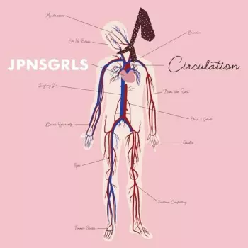 JPNSGRLS: Circulation