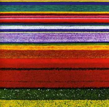 CD City And Colour: Little Hell