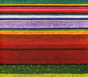 Album City And Colour: Little Hell