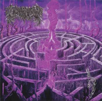 Album Civerous: Maze Envy
