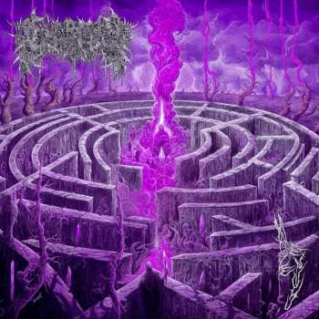 CD Civerous: Maze Envy
