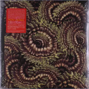 Clan Caimán: Pica-Pau