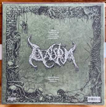 LP Claustrum: Claustrum CLR