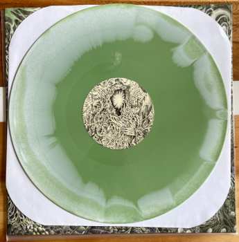 LP Claustrum: Claustrum CLR