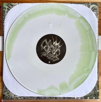 LP Claustrum: Claustrum CLR