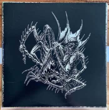 LP Claustrum: Claustrum CLR