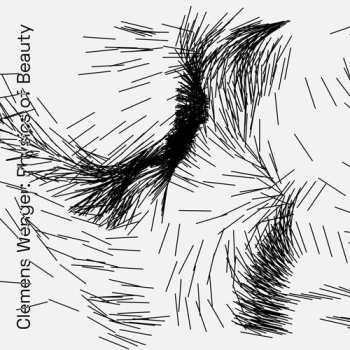 Album Clemens Wenger: Physics of Beauty