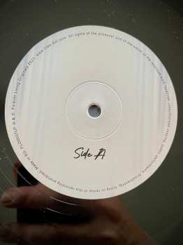 2LP Cleo Sol: Mother