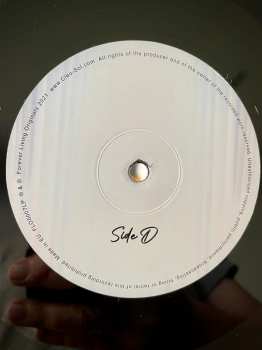 2LP Cleo Sol: Mother