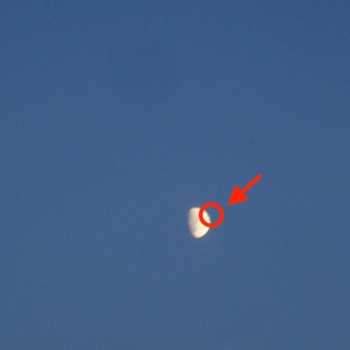 CD Cleopatrick: Fake Moon