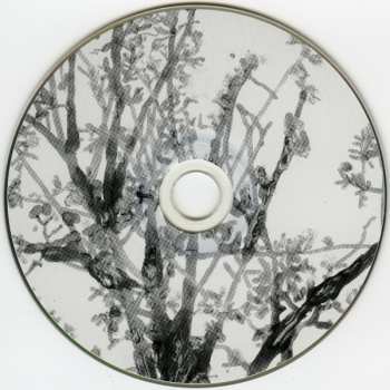 CD Nels Cline: Nothing Makes Any Sense