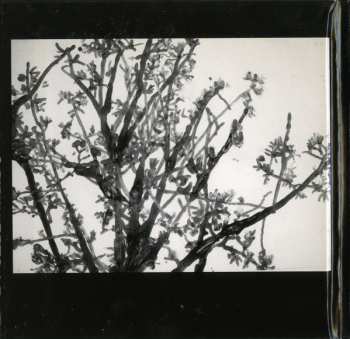 CD Nels Cline: Nothing Makes Any Sense