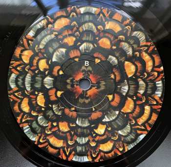 LP Cloudland Canyon: Requiems Der Natur 2002-2004