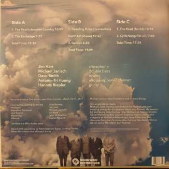 2LP Hannes Riepler: Traveling Pulse DLX | LTD
