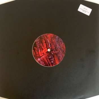 LP Clowns: Lucid Again LTD | CLR