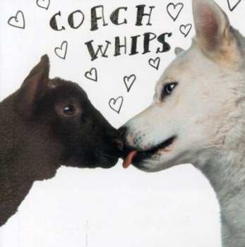 CD Coachwhips: Bangers Vs. Fuckers