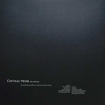 LP Cocteau Twins: Blue Bell Knoll