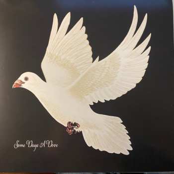 3LP Cody Jinks: The Wanting / After The Fire