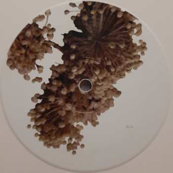 3LP Coil: The Ape Of Naples LTD | CLR