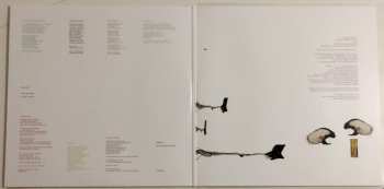 2LP Coil: The Ape Of Naples