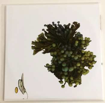 2LP Coil: The Ape Of Naples