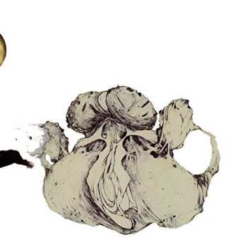 2LP Coil: The Ape Of Naples
