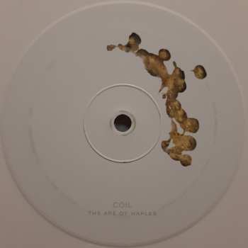 3LP Coil: The Ape Of Naples LTD | CLR